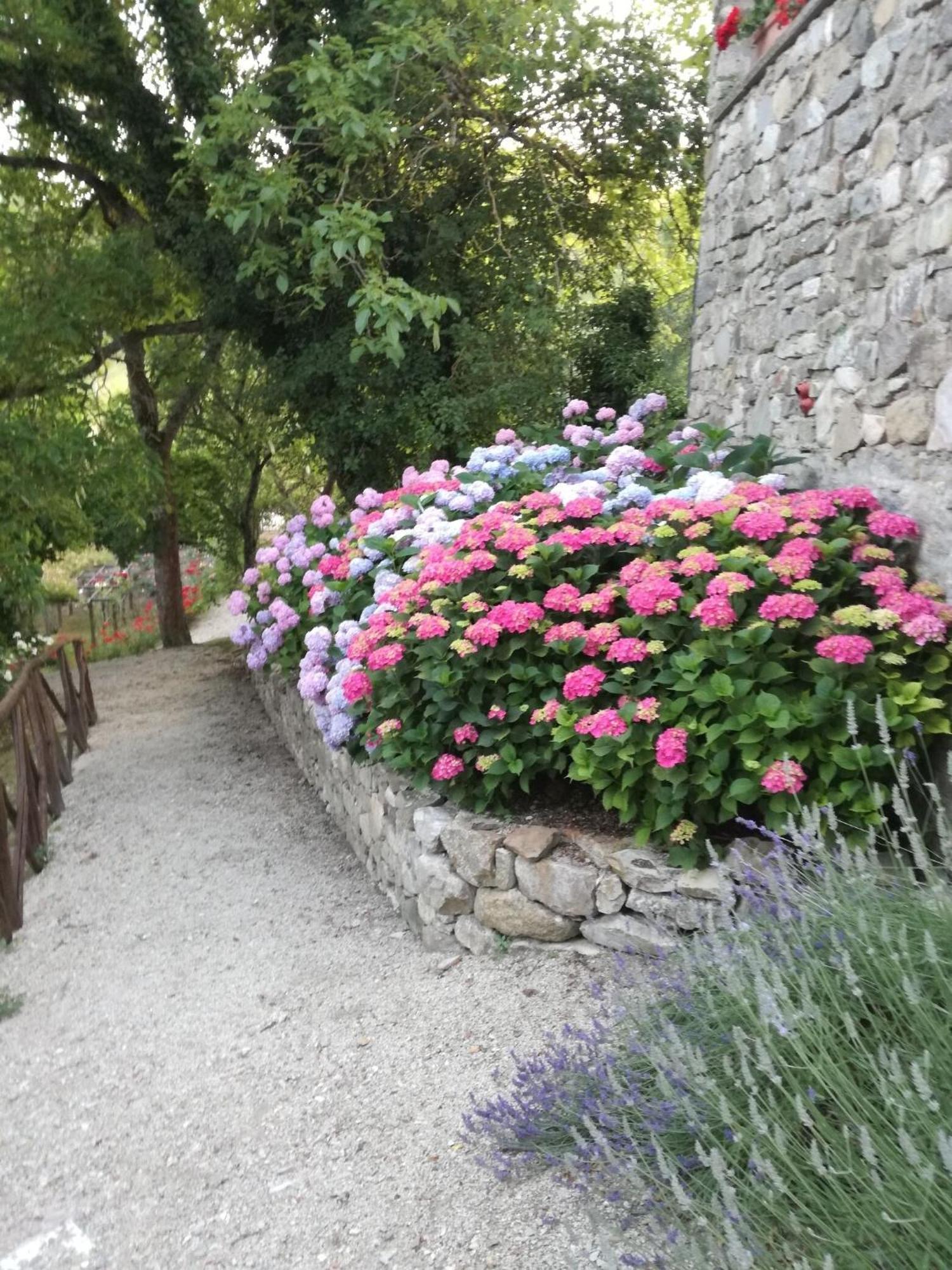 Fattoria Di Arsicci Villa Caprile  Exterior photo